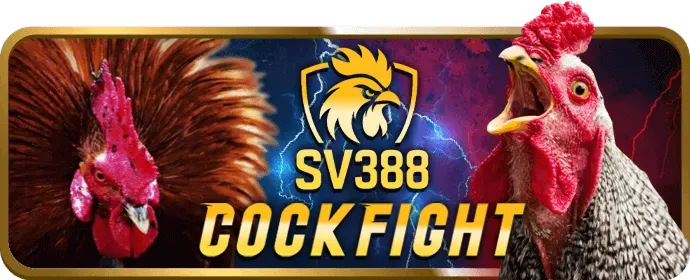 Bảo mật live789 hàng đầu